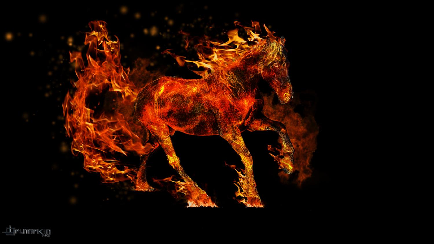 Лошадь в огне