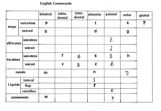 【phonology】什么意思_英语phonology的翻译_音标