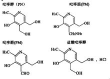 神经氨酸酶 神经氨酸酶