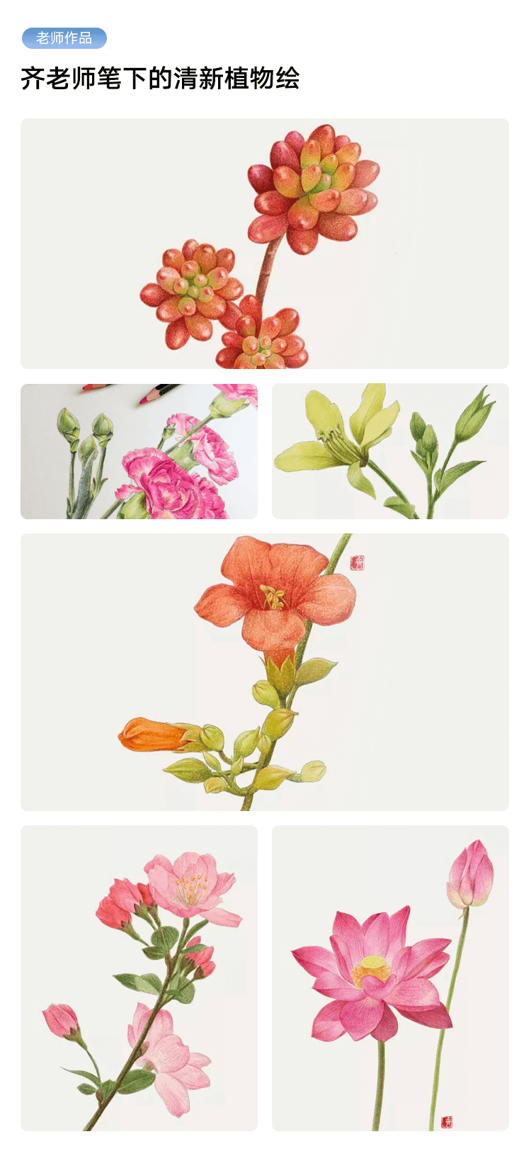 1496653415866041216.png 作品展示.png